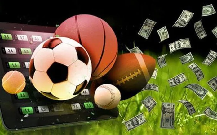 Pertandingan olahraga untuk navigasi liga dan kartu laga H895
